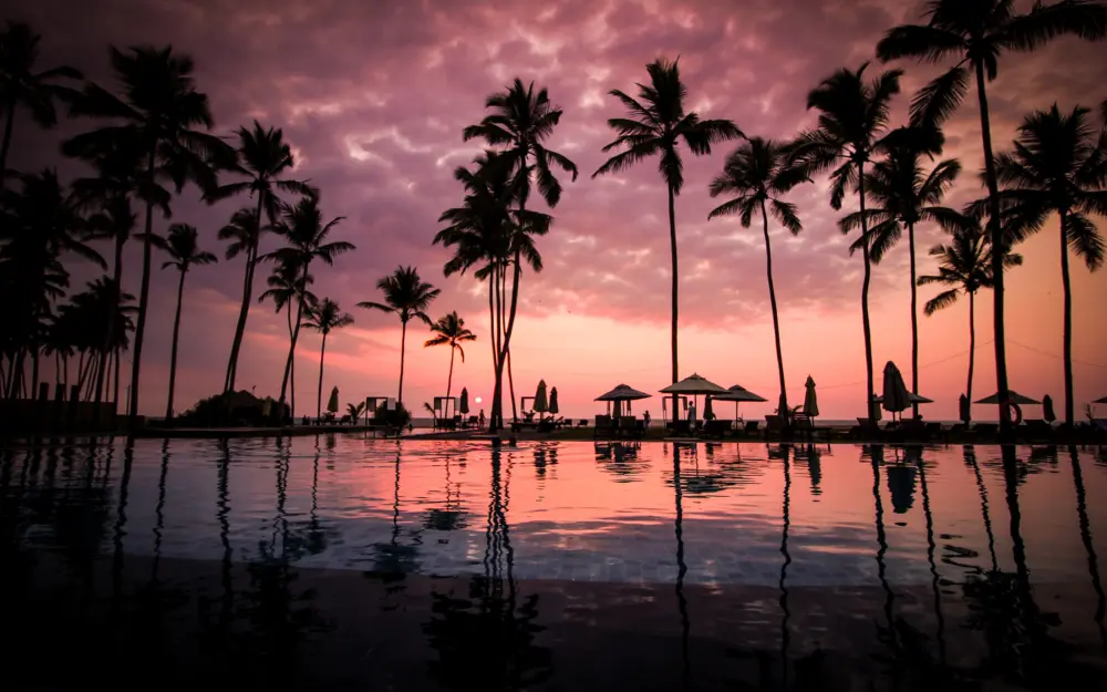 唯美椰林日落倒影壁纸 5120×3200