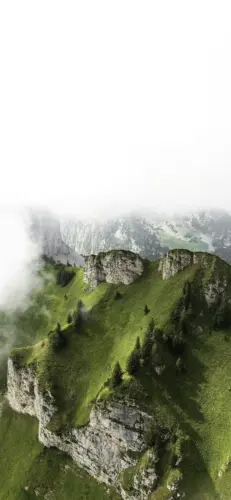 葱郁山峦云雾缭绕壁纸 1440×3120 缩略图