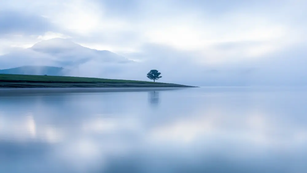 宁静湖畔孤树远山壁纸 3840×2160