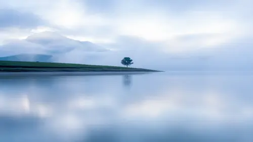 宁静湖畔孤树远山壁纸 3840×2160 缩略图