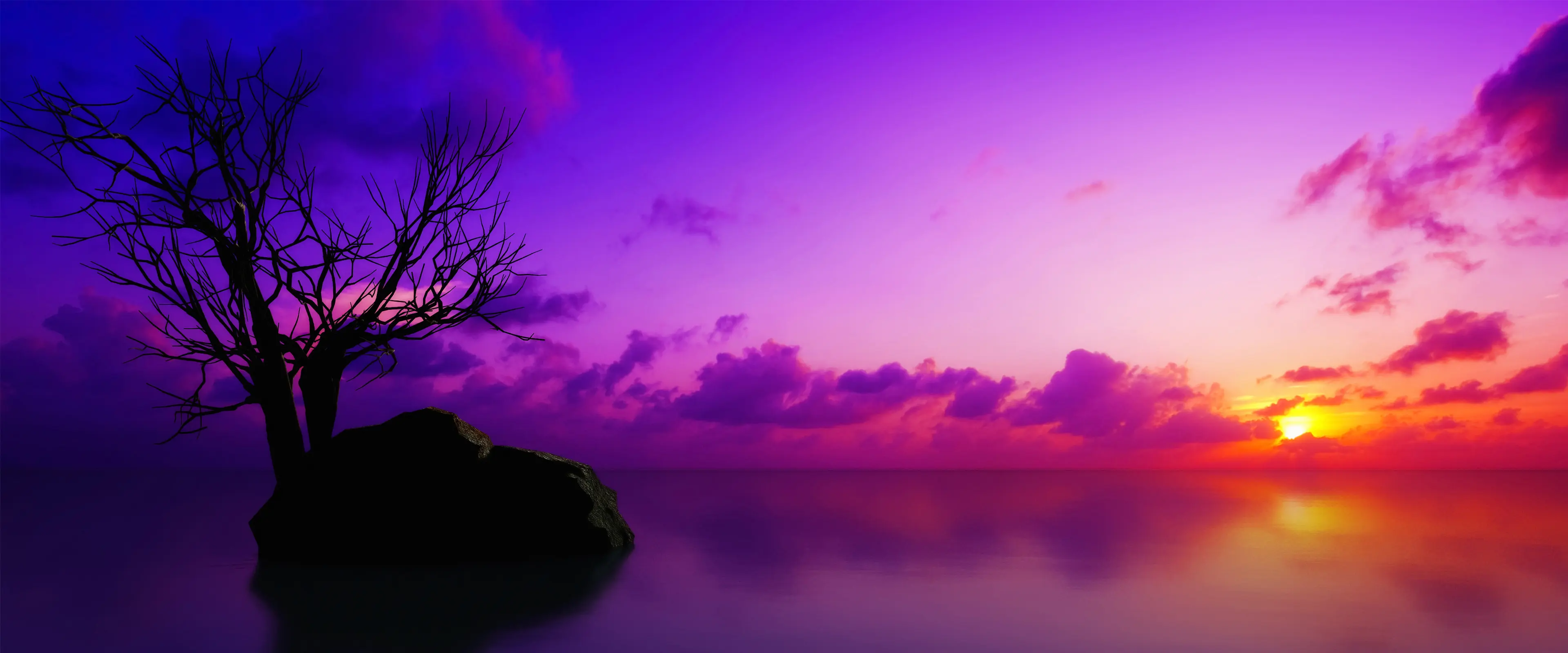 紫霞映孤树水面倒影壁纸 3840×1600 预览图