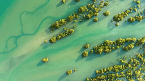 碧水绿洲航拍图 3840×2160 缩略图