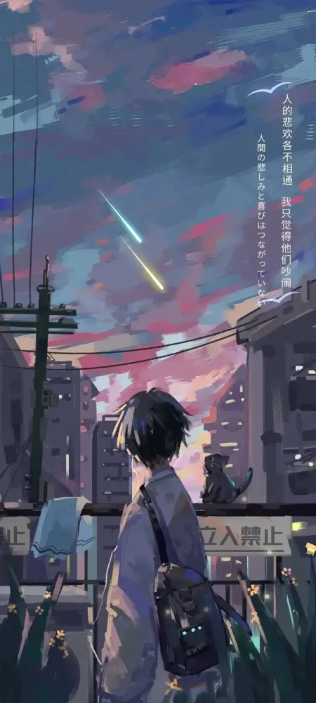 动漫少年流星夜空壁纸 1728×3840