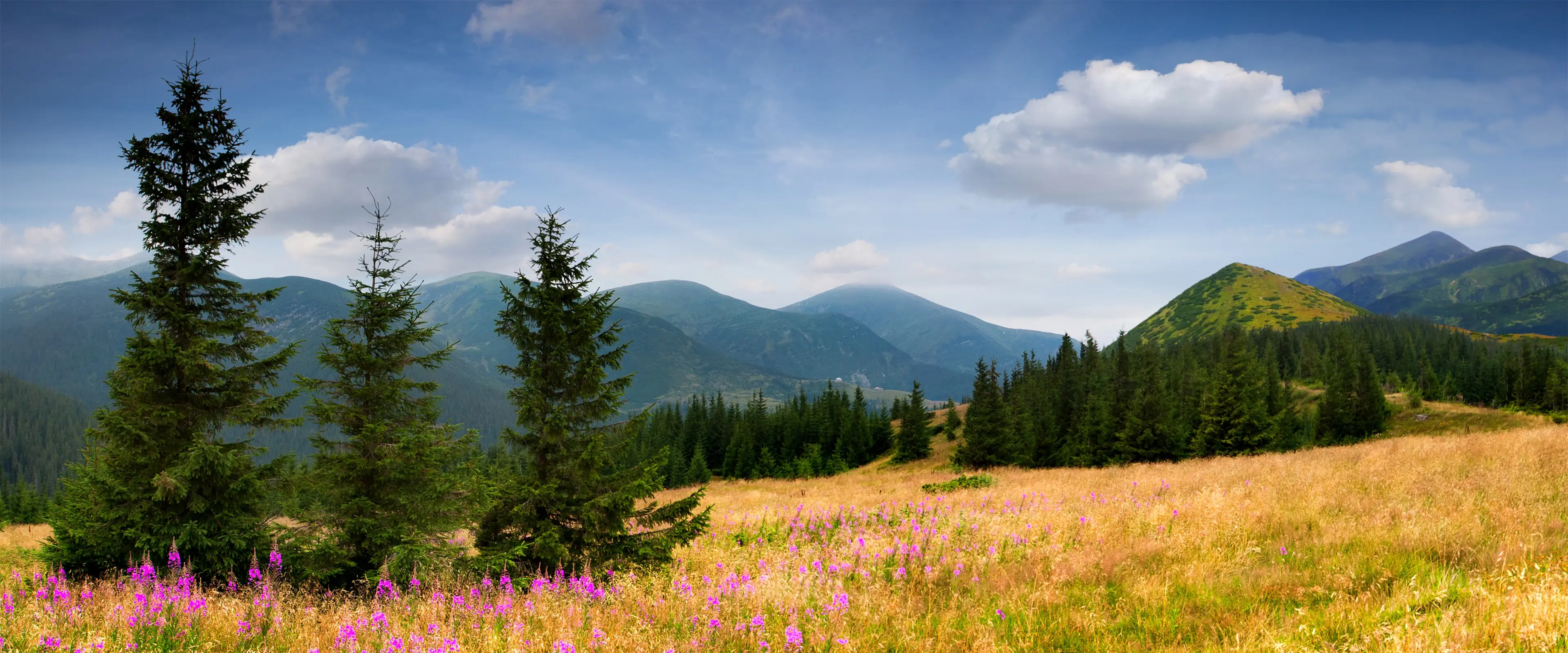 山峦野花金色草原壁纸 3840×1600 预览图