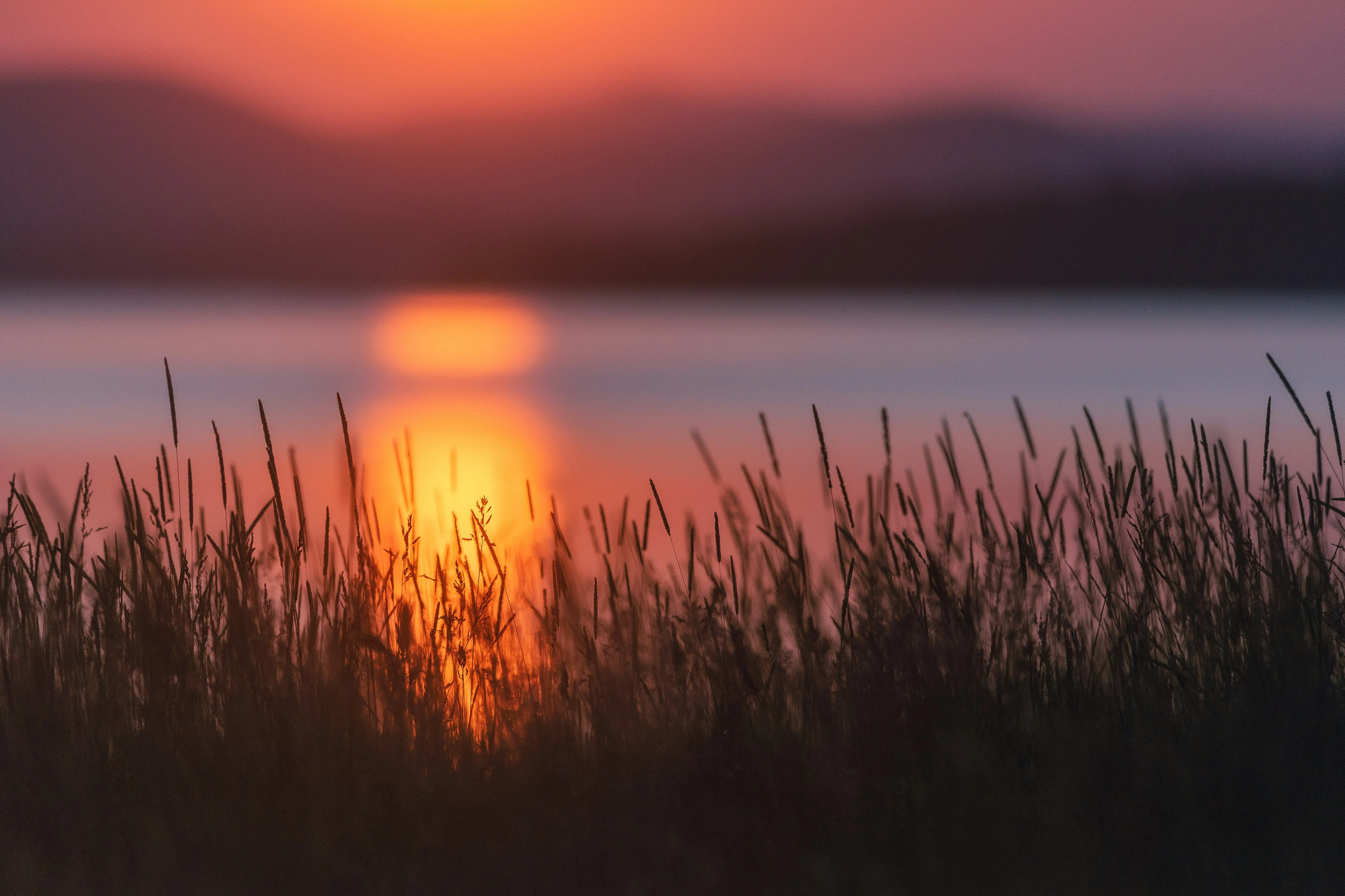 宁静湖畔日落金辉壁纸 6000×4000 预览图