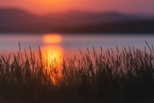 宁静湖畔日落金辉壁纸 6000×4000 缩略图